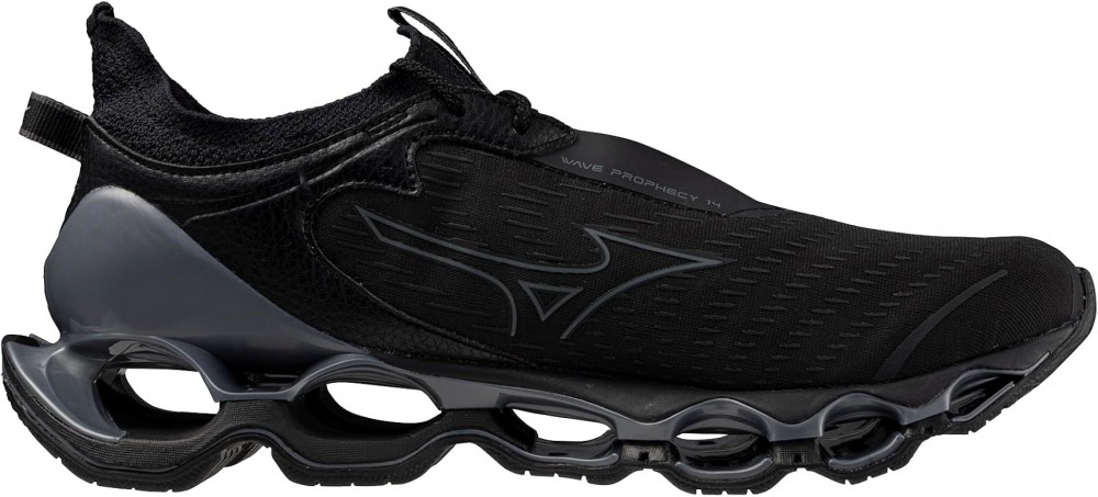 Mizuno wave prophecy 14 