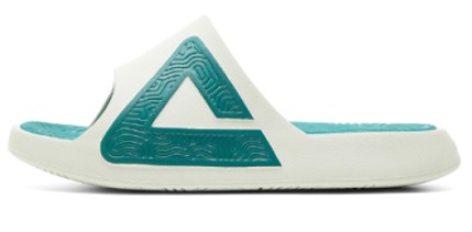 peak taichi slippers 