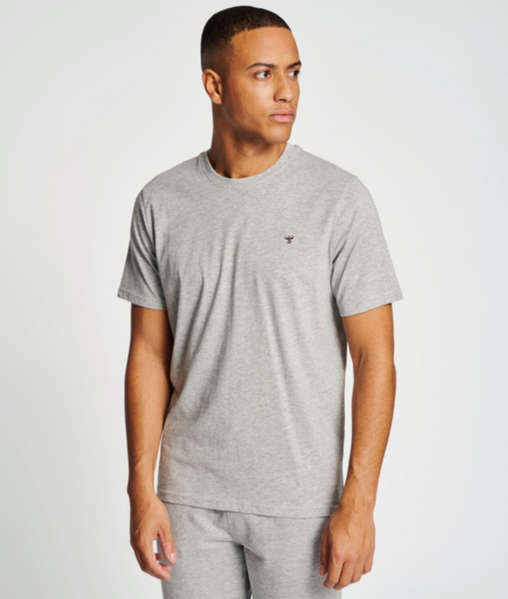 Hummel ensemble hmlIC FRED