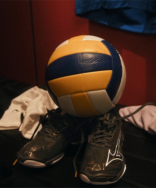 Chaussures De Handball/Volley-ball Homme